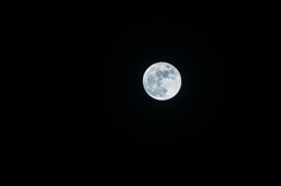 141107_06.jpg
