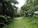 19road_far_mikaeri_tishi.jpg