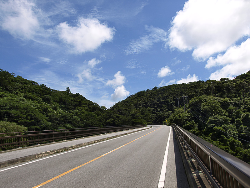 bridge_g_otoha.jpg