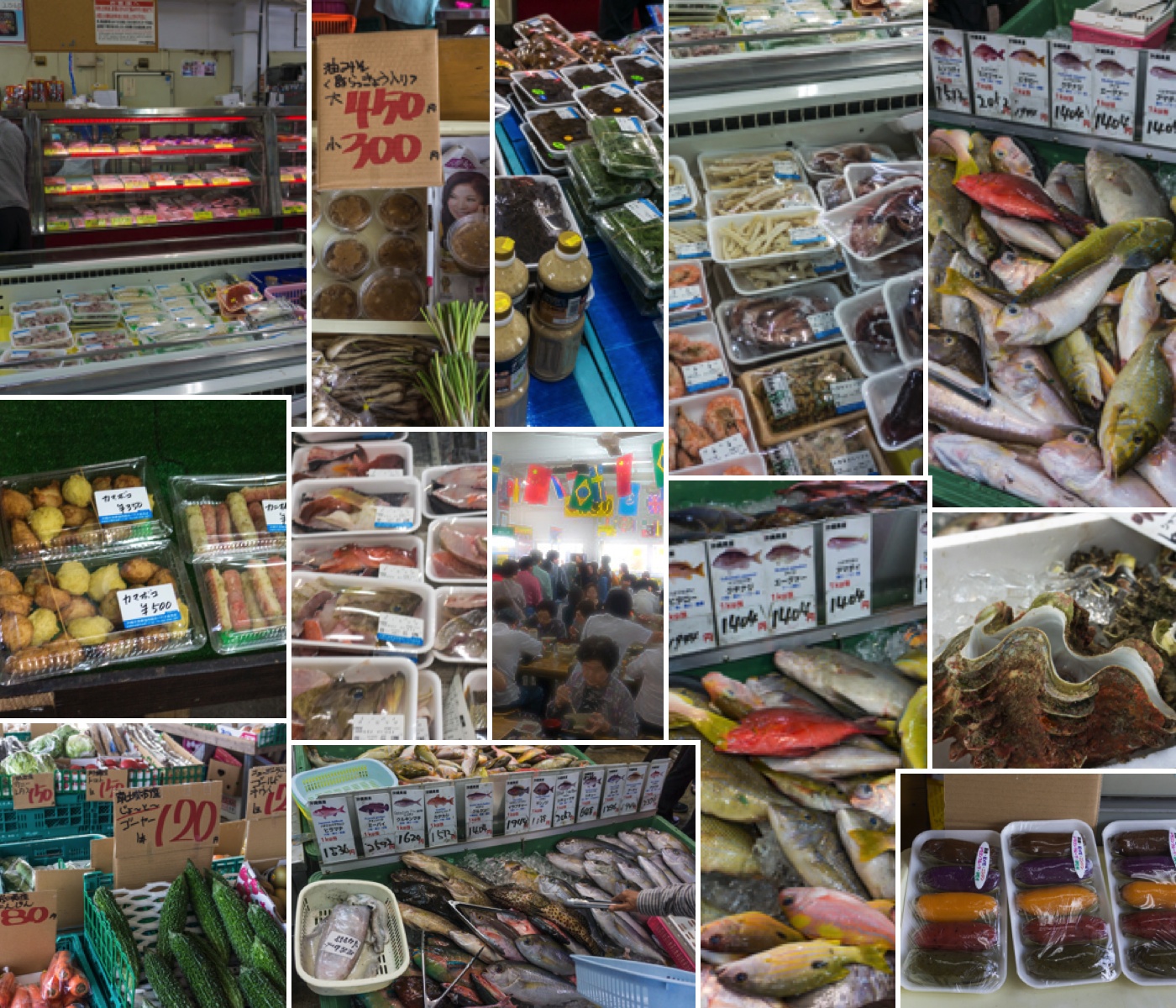 collage_payao.jpg