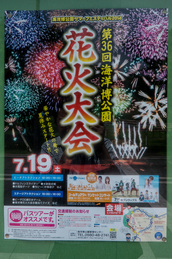 info_fireworks_churaumi.jpg