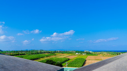 island_roof_ichinanari2014.jpg