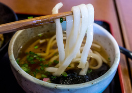 katsutama_udon_men_ichidon.jpg