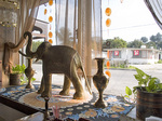 laxmi_in03window.jpg