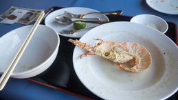 lobster_fin_umihana.jpg