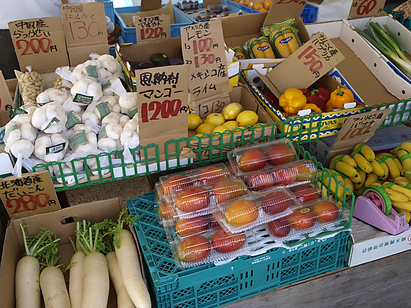 mango1200_payao.jpg