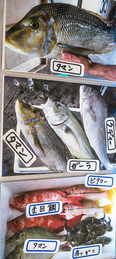 menu_fish_ajike.jpg