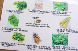 menu_herb_hochihochi.jpg