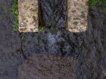 munnukar_up_morikawa110326b.jpg