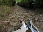 myleg_nodake_ishidatami.jpg