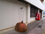 orange_akamichi.jpg