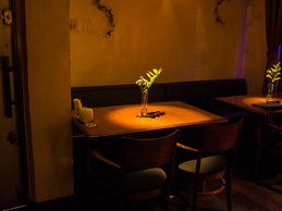 rose_on_table_shellgarden.jpg
