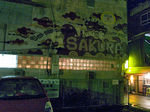 sakura_fasard1.jpg