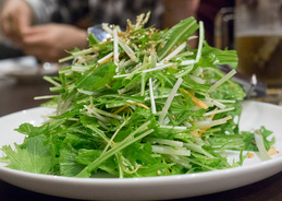 salada3_saikabou140322.jpg