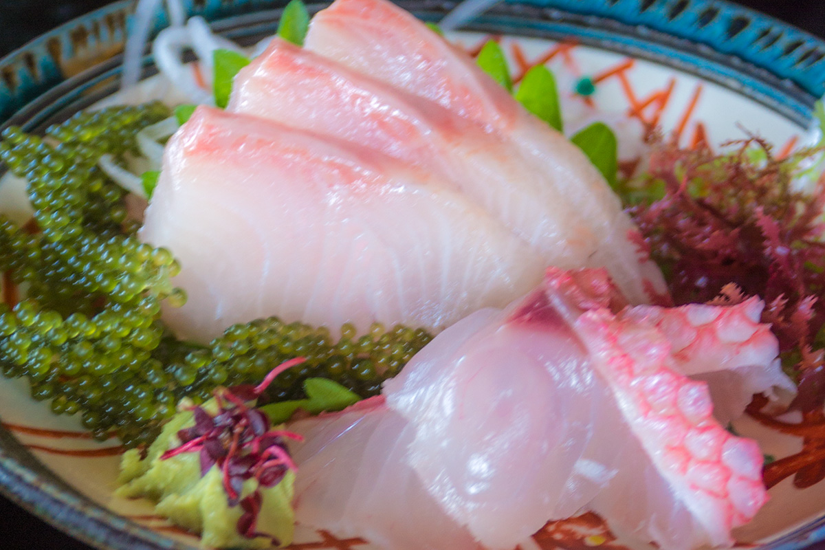 sashimi_z2_ishinagu.jpg