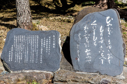 yosachigar03.jpg