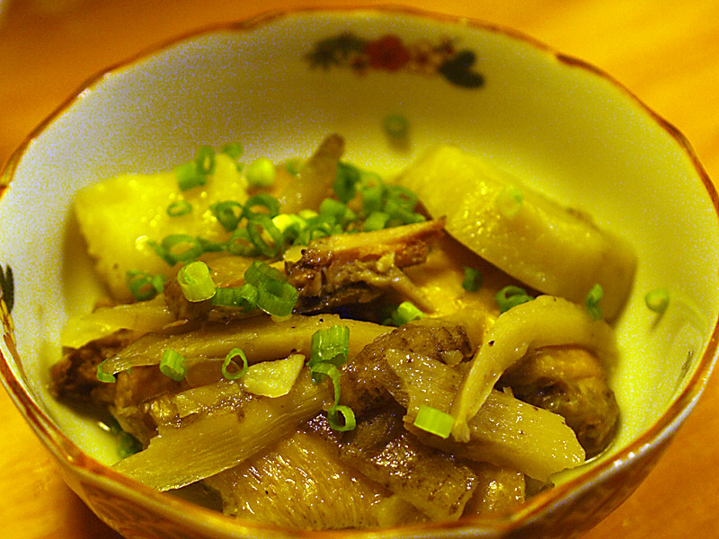 nitsuke_110428_kame.jpg